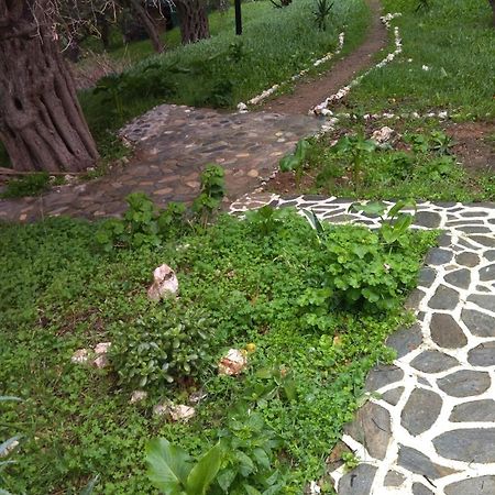 Summer Sunrise Andros Apartment ภายนอก รูปภาพ