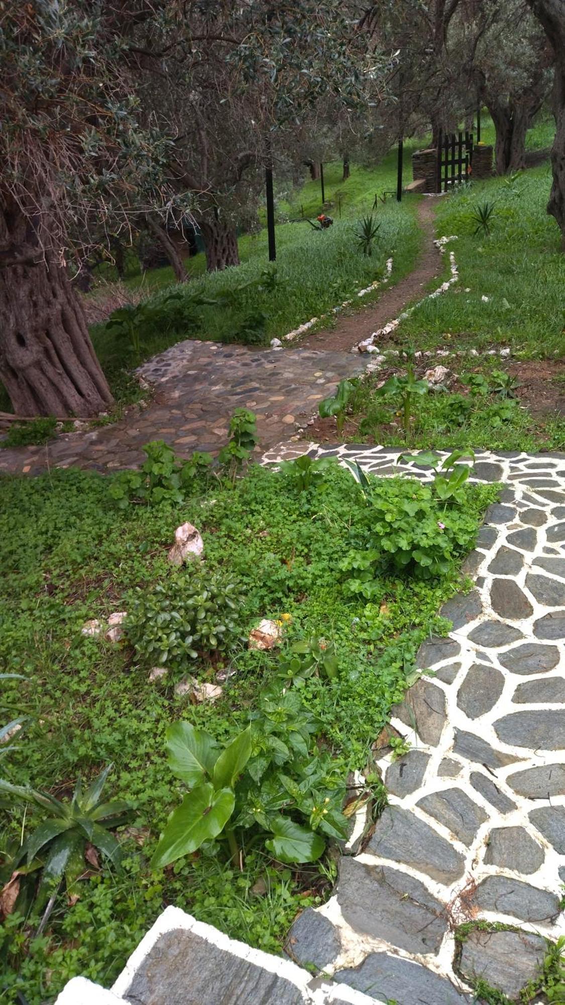 Summer Sunrise Andros Apartment ภายนอก รูปภาพ